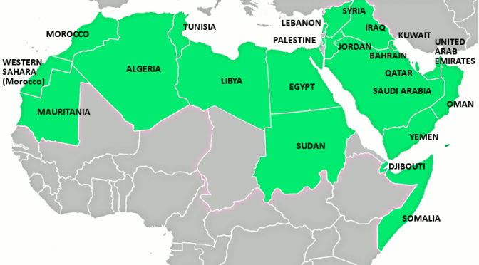 “Há uma efervescência no mundo árabe”