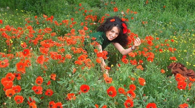 Somos todos iranianas