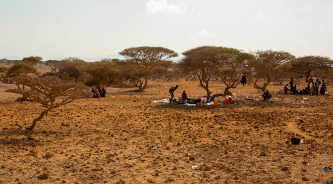 As 150 mil pessoas que foram para um país em guerra à procura de uma vida melhor