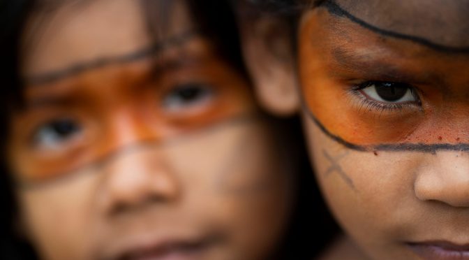 Os guardiões das florestas só querem que os deixem sós