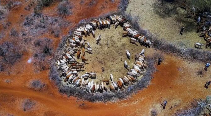 Desastres retiram comida da mesa